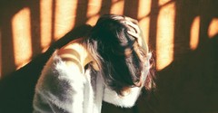 Dangerously Alone - Encouragement for Today - September 13, 2018	