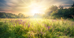 4 Ways to 'Let Not Your Heart Be Troubled' & What This Bible Verse Really Means