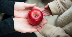 What Does the Bible Say about Giving?