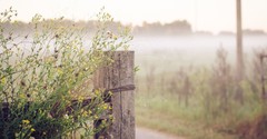His Mercies Are New Every Morning: 10 Reasons We Can Have Hope in Hard Seasons