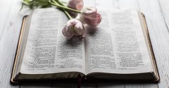 8 Proverbs to Decrease Anxiety and Increase Peace