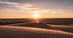 5 Lessons We Can Learn from the Israelites' Wandering Years - Your Daily Bible Verse - July 1