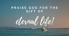 Our Comfort in Grief - iBelieve Truth: A Devotional for Women - May 4