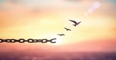 A Prayer for Juneteenth - Your Daily Prayer - June 19