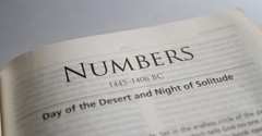Why Should We Bother Reading the Book of Numbers?