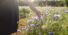 Beyond Sunday: All Things Created by Christ, for Christ