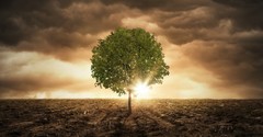 Why Is Faith Without Works Dead?