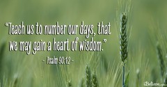 A Prayer for Relying on God Instead of Our Efforts - Your Daily Prayer - August 27