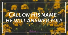 Hope for Desperate Hearts - iBelieve Truth: A Devotional for Women - August 30