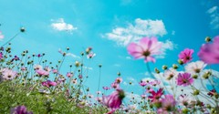 25 Life-Giving Statements Jesus Made