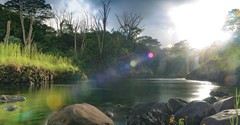What Are the Rivers of Living Water?