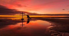 Seeing the Beauty of God's Mercy in "If We Confess Our Sins" (1 John 1:9)