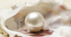 What Is the ‘Pearl of Great Price’ in Scripture?