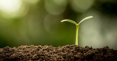 Why Did Jesus Teach about Soil and Sowing?