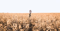 Staying Faithful in a World That’s Lost Its Way