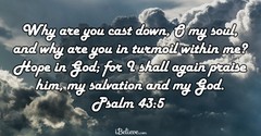 A Prayer for When Your Soul Is Downcast – Your Daily Prayer – November 13