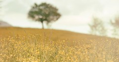 5 Biblical Reminders We Can Find in Nature
