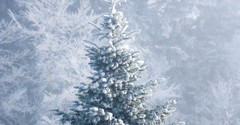 3 Ways to Pray through the Winter Season