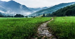 'There Is a Way That Seems Right to Man' - Why ‘You Do You’ Culture Leads to Destruction