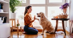 Do Dogs Go to Heaven?