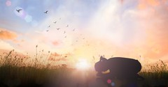 A Prayer for the Power of Prayer - Your Daily Prayer - November 8