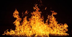 The Unexpected Perks of Being Thrown Into the Fire