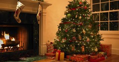 Why Do We Celebrate Christmas on December 25?