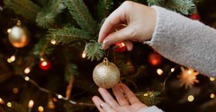 What Does the Bible Say about Christmas Trees?