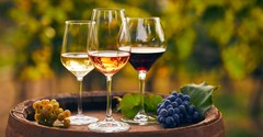 What Did Jesus Mean When He Told the Parable of the Wineskins?