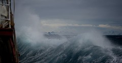 Why Does Jesus Rebuke His Terrified Disciples in the Storm?