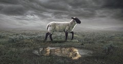Why Do We Say Jesus Is Our Passover Lamb?