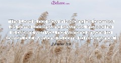 A Prayer to Our Longsuffering God - Your Daily Prayer - February 20