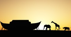 The Ark and the Cross - Greg Laurie Devotion - March 5, 2025