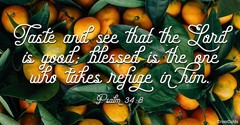How Can We Taste and See That the Lord Is Good?