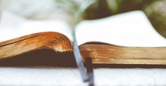 Trusting God's Spirit to Do What I Cannot - Your Nightly Scripture - June 2nd