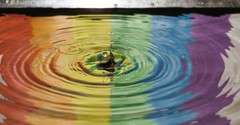 Where Does the Bible Mention Rainbows and What Is Their Meaning?
