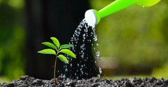 3 Little Things That Make a Big Impact for the Kingdom