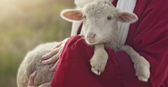 Why Did John the Baptist Call Jesus the ‘Lamb of God’?