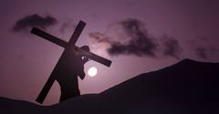 Beyond Sunday: Taking Up the Cross