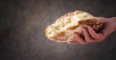 How Many Loaves Do You Have? - Homeword - May 2