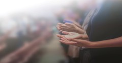 What Are You Worshipping?