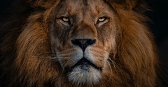 I Dare You: Be Steadfast! Part 2