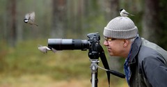 Birdwatching: Where Do We See Birds in the Bible?