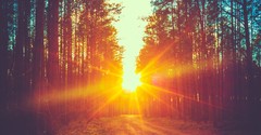 Why Is Jesus Called the "True Light"?