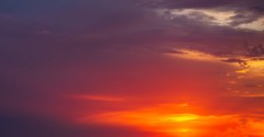 Calling On the God Who Is Always Near - Your Nightly Scripture - June 8th
