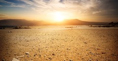 Tender Words in the Wilderness - The Crosswalk Devotional - December 13