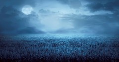 Remembering God in the Middle of the Night - Your Nightly Scripture - May 18th
