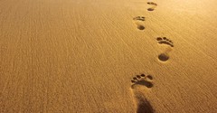 How Did 'Footprints in the Sand' Become So Popular Among Christians?