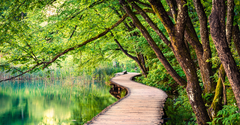 7 Bible Verses about Nature That Encourage Us to Care for the Planet