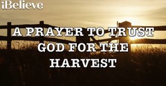 A Prayer to Trust God for the Harvest